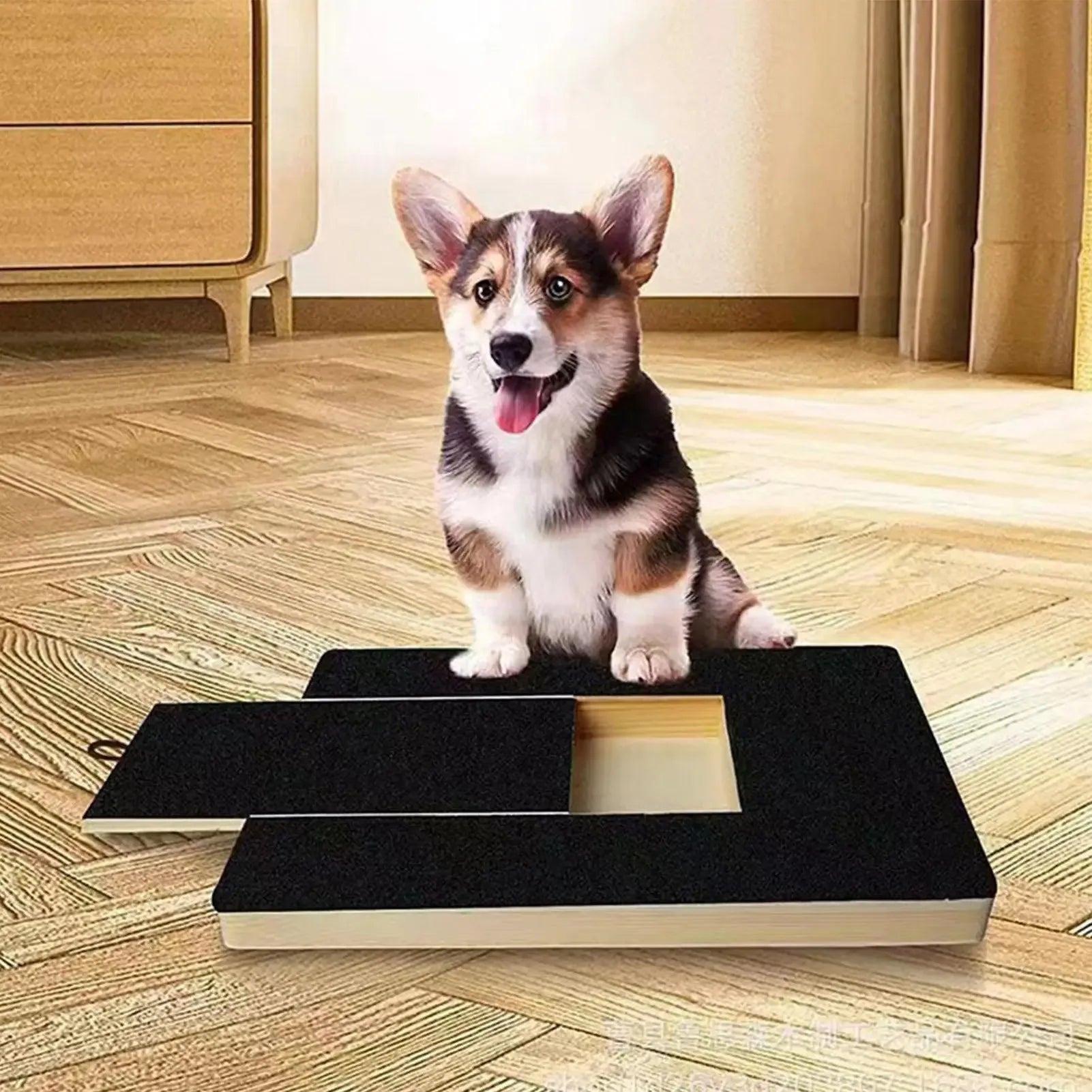 PawFile Pro – Dog Nail Scratch Board with Built-in Treat Box