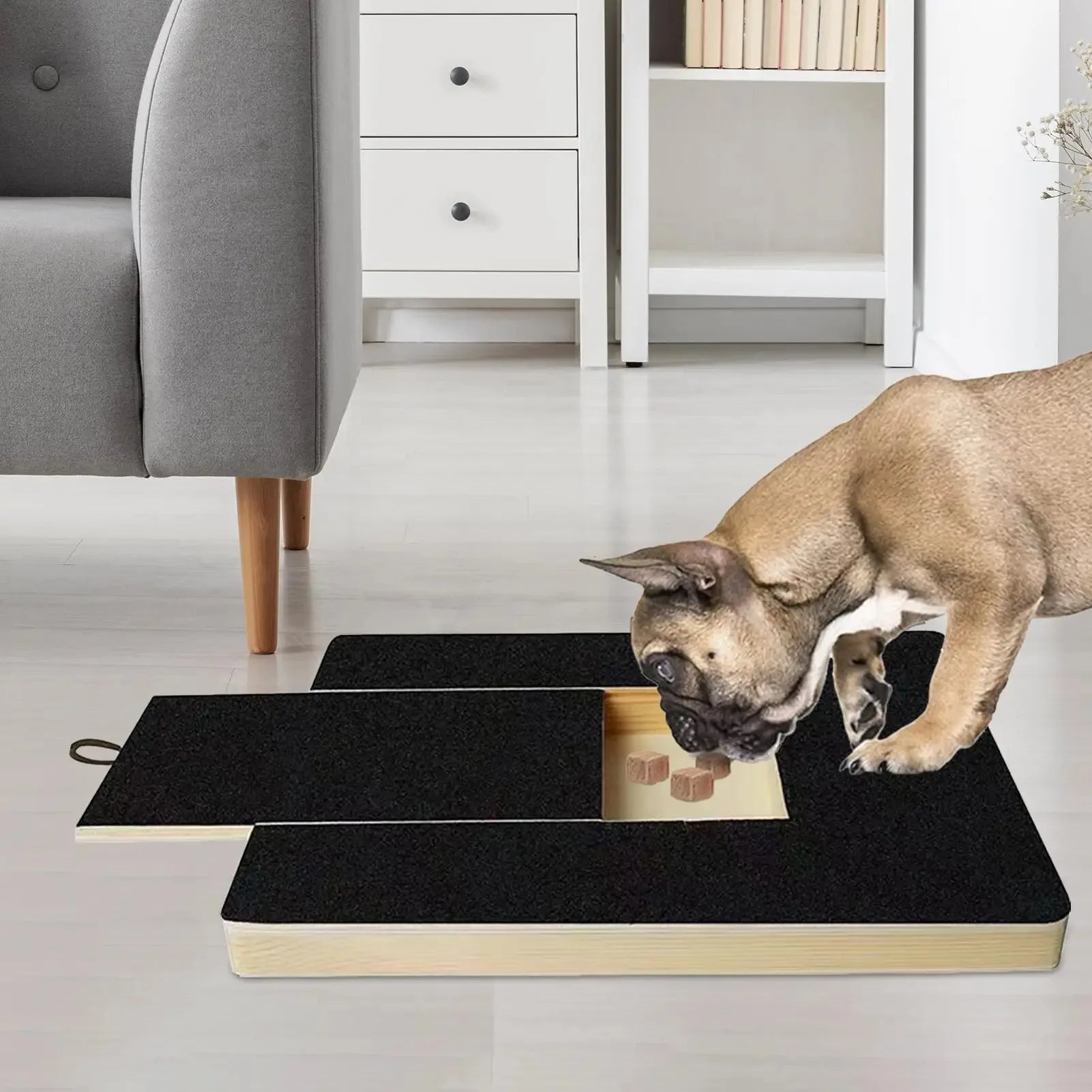 PawFile Pro – Dog Nail Scratch Board with Built-in Treat Box